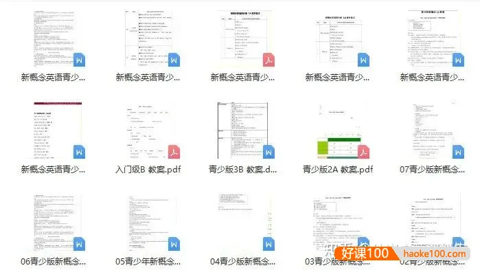 经典教材《新概念英语青少版》(Starter A至3B)视频+课件+录音+动画+试题全套资料