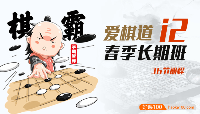 爱棋道《翁帅娜老师围棋课：春季i2长期班》36课时视频教程