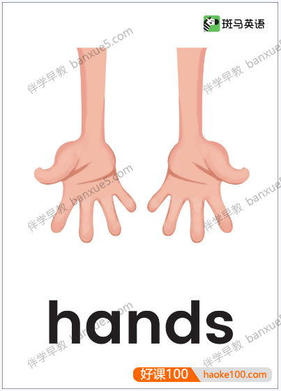 儿童英语单词闪卡《斑马英语启蒙单词卡》共300张彩页PDF