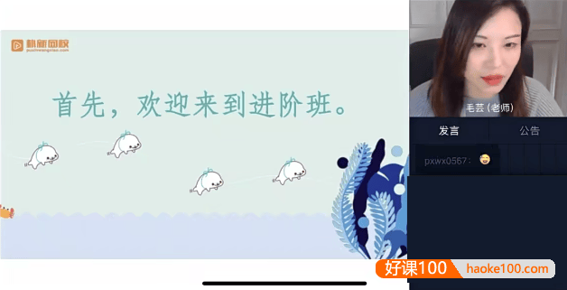 花生酥大师班毛芸老师小学作文提分班进阶视频课程(含PDF讲义)