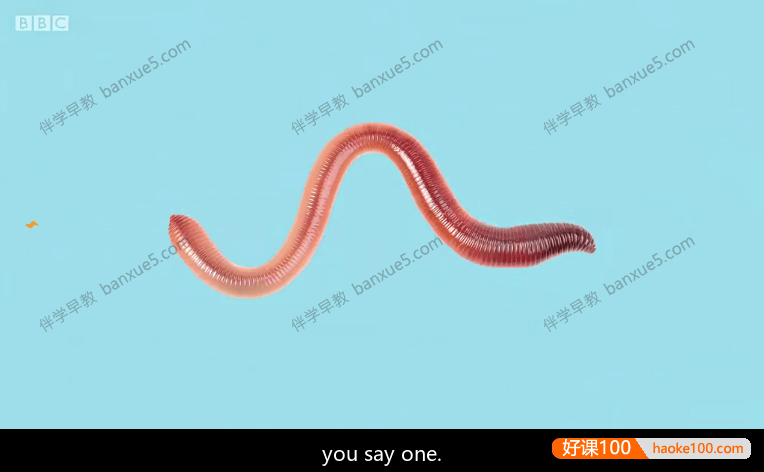 儿童英语启蒙动画片《Yakka Dee》第一季全20集-低幼英语开口启蒙神器