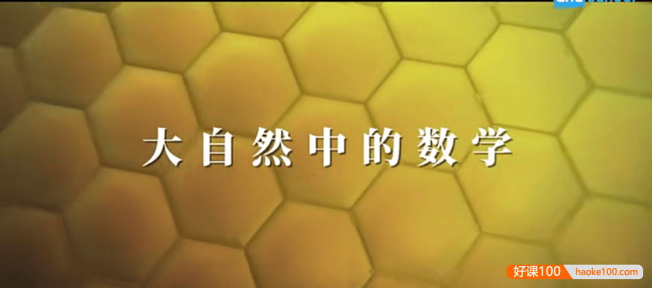 【芝麻学社】ahashool大自然中的数学-动植物中的数学