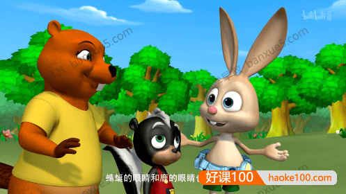 科普益智儿童动画《野生动物宝宝》全80集