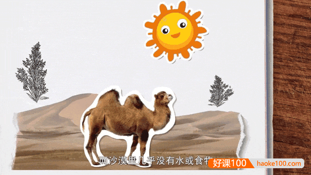 儿童科普动画《奇妙的世界》120集视频,带娃从生活角度来感受科学的乐趣和神奇！