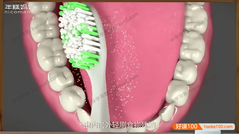 儿童早教课程《身体的秘密：给宝宝的第一堂人体认知课》全15集