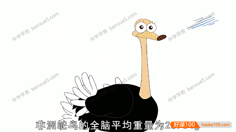 儿童动物知识科普动画片《动物冷知识》全26集