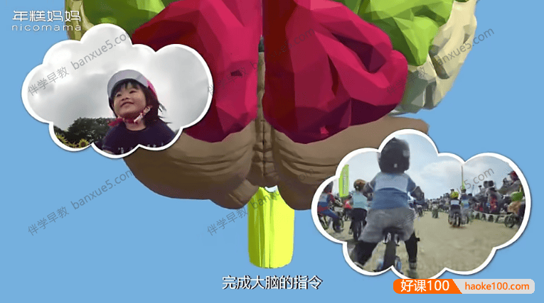 儿童早教课程《身体的秘密：给宝宝的第一堂人体认知课》全15集