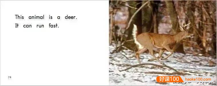 经典英语分级读物之《海尼曼Heinemann》系列PDF绘本+音频教学+视频教学全套资料