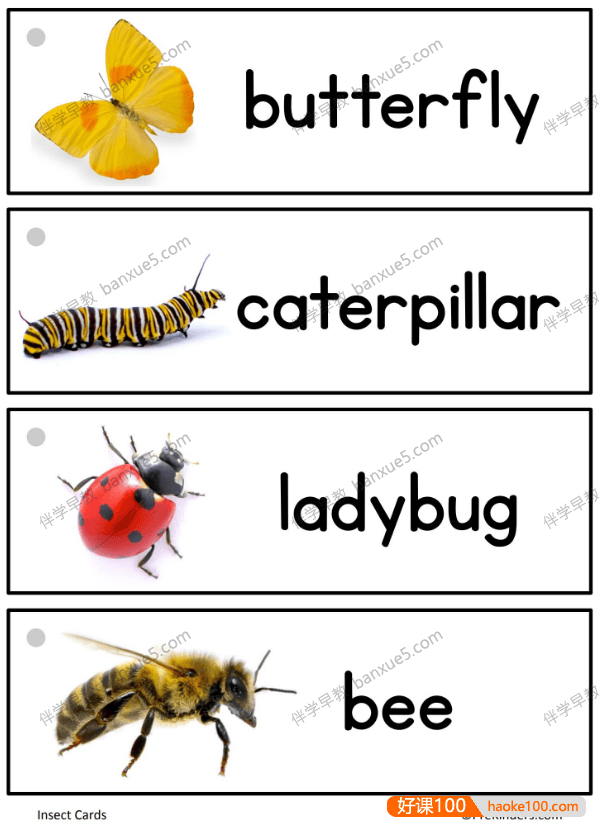 幼儿英语启蒙《英语单词闪卡》共30册PDF