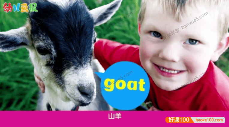 早教英语启蒙动画《红袋鼠BEC英语乐园》全30集