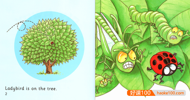 柯林斯大猫BigCat分级阅读1-11级绘本+音频+课件+红黄蓝绿录播课