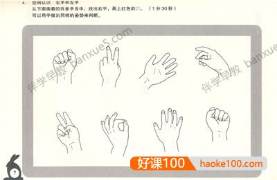 儿童思维训练课程 《百花学习思维训练365天》全套12册PDF绘本