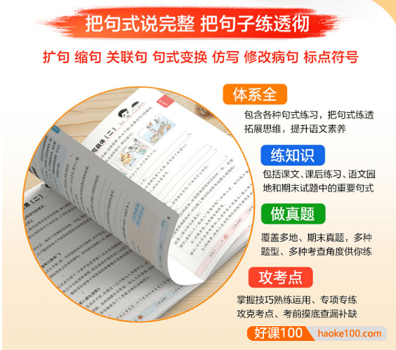 2024版53小学语文基础练-句式训练大全专项练习(1-6年级下册)