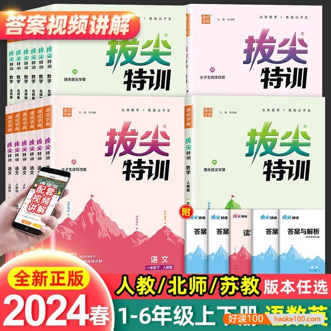 2024版全国各版本小学语文数学英语拔尖特训(1-6年级下册)