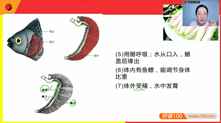 【孙佳佳生物】孙佳佳2021年初中生物五大模块全套(视频+讲义+笔记)