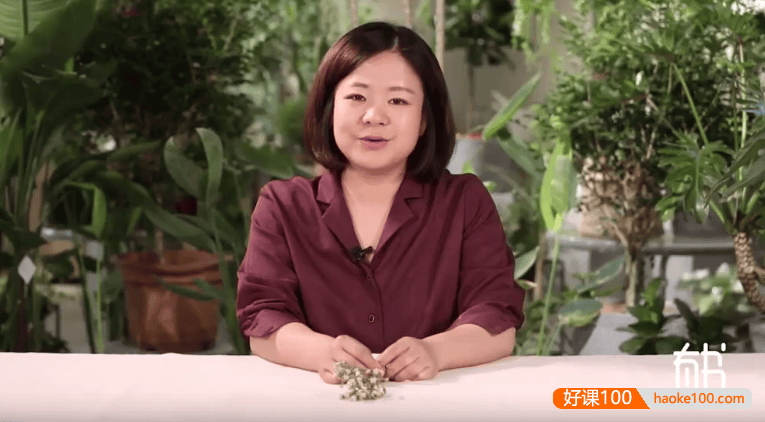 崔金香-经典插花课：教你用花点缀生活