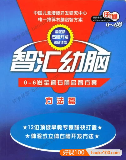幼儿早教课程《智汇幼脑》理论篇+方法篇+早教音乐215首