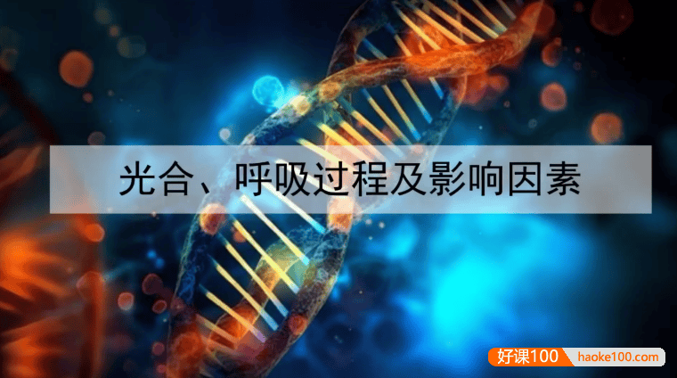 【金晶生物】2025届高三生物 金晶高考生物二轮复习技巧提升课