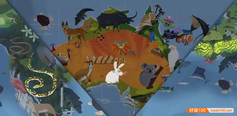 TED-ed系列科普动画《了不起的自然 Awesome Nature》