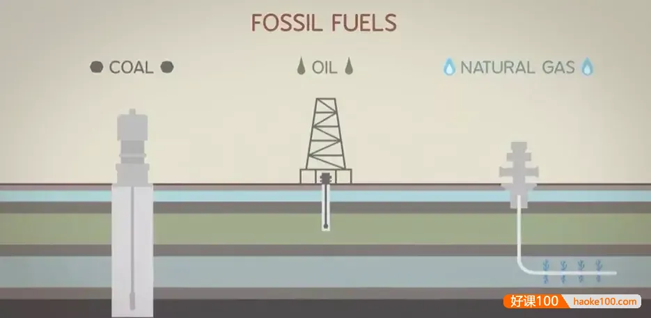 TED-ed系列科普动画《了不起的自然 Awesome Nature》