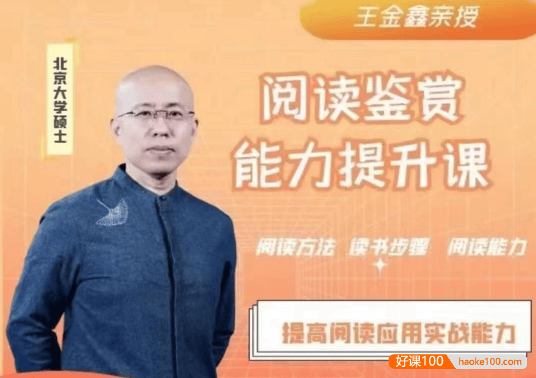王金鑫《阅读鉴赏能力提升课》95节+学习资料