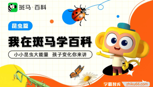 斑马百科“昆虫”主题动画视频课程,开启昆虫认知的大门