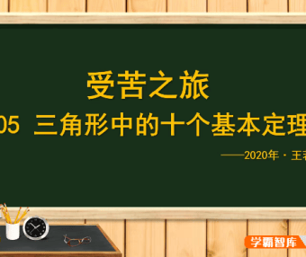 【王若钊数学】初中数学《三角形中的十个基本定理》视频课程