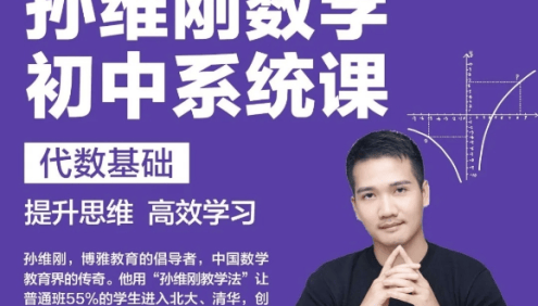 博雅初中数学系统课-孙维刚数学初中系统课第一期:代数基础