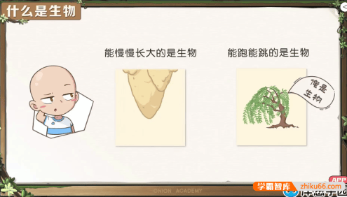 【洋葱学园】小学科学3-6年级全套动画课程(通用版)