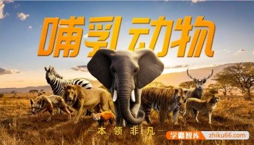 斑马百科“哺乳动物”主题动画视频课程,包含了200+个哺乳动物的相关知识点