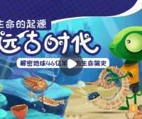 【小灯塔学堂】远古时代：生命的起源(揭秘地球46亿年的生命简史)