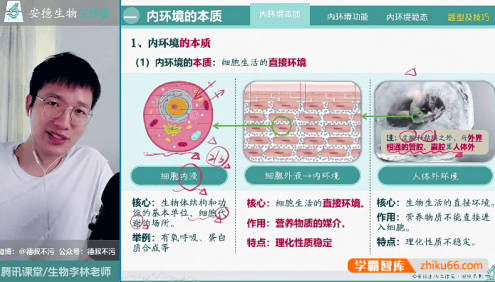 【李林生物】安德高二生物系统课-高二选择性必修1-2同步视频课程