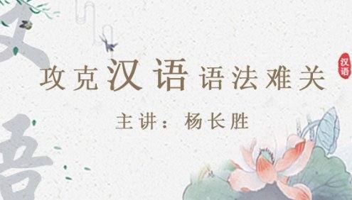 【好芳法课堂】杨长胜攻克汉语语法难关(轻松学习汉语语法)