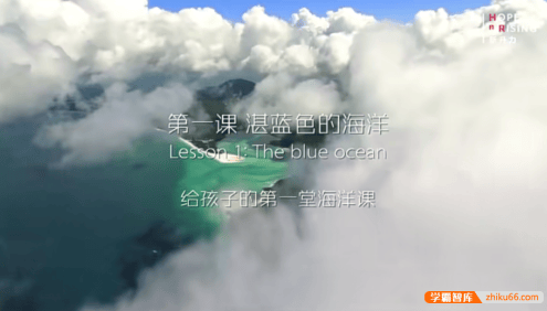【芝麻学社】ahashool给孩子的第一堂海洋课中英双语版