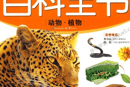 儿童科普百科知识音频《中国少年儿童百科全书》共157集mp3音频