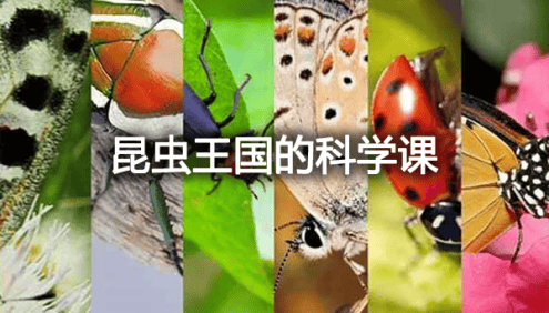 给孩子的自然启蒙《昆虫王国的科学课》