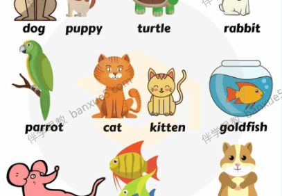 儿童英语启蒙《图解英语主题卡片》共419张JPG图片