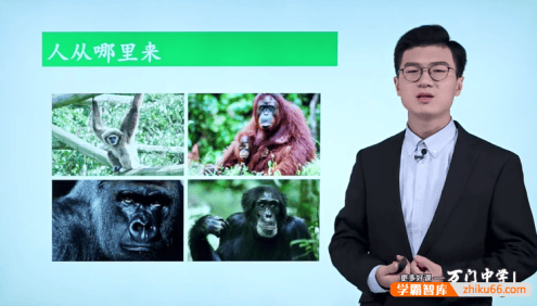 【万门中学】靳翔宇初一生物基础班(七年级下)