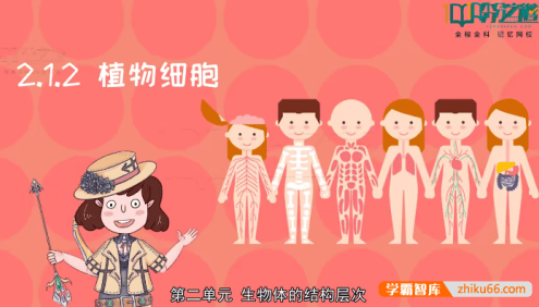 人教版初中生物同步动画课程(初中7-8年级全册)