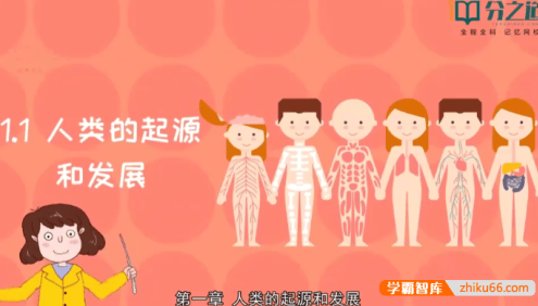 【分之道】人教版初一生物动画视频课程(七年级下册)