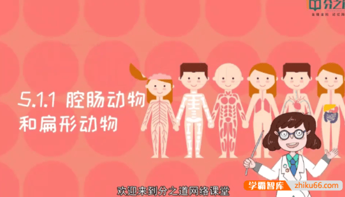 【分之道】人教版初二生物动画视频课程(八年级上册)