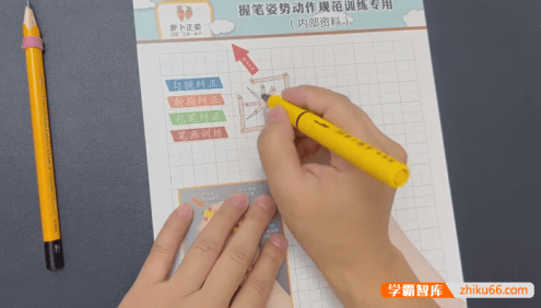 【抖音同款】萝卜正姿-萝卜练字五步练字法(控笔正姿・基础笔画字根・字体结构三合一)