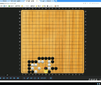 【爱棋道】张展鹏、王若然老师围棋I-10集训班(一期+二期)