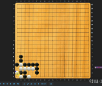 【爱棋道】雷雯老师围棋I-7集训班(一期+二期)