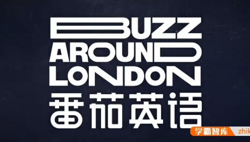 《番茄英语：暴走伦敦篇》看世界学英语口语
