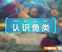 斑马百科“鱼类”主题动画视频课程,开启一场关于鱼类的奇妙科普之旅