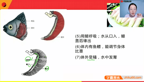 【孙佳佳生物】孙佳佳2021年初中生物五大模块全套(视频+讲义+笔记)