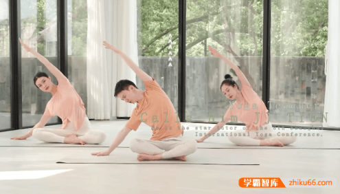 瑜伽老师JJ瑜伽0基础系统课：12节课成为瑜伽高手