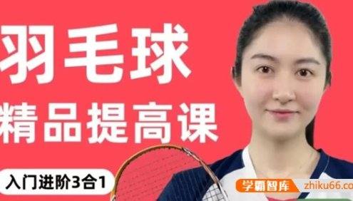 小宋老师羽毛球入门进阶3合1精品提高课