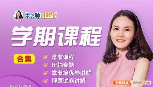 【梁老师讲数学】人教版初中数学七年级下册课程合集(基础+培优+压轴+试卷讲解)